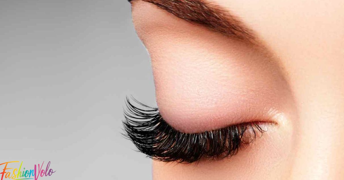 Meow Magnificence Eyelash Extensions