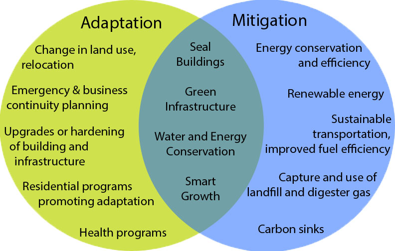 Adaptation to Coding Changes