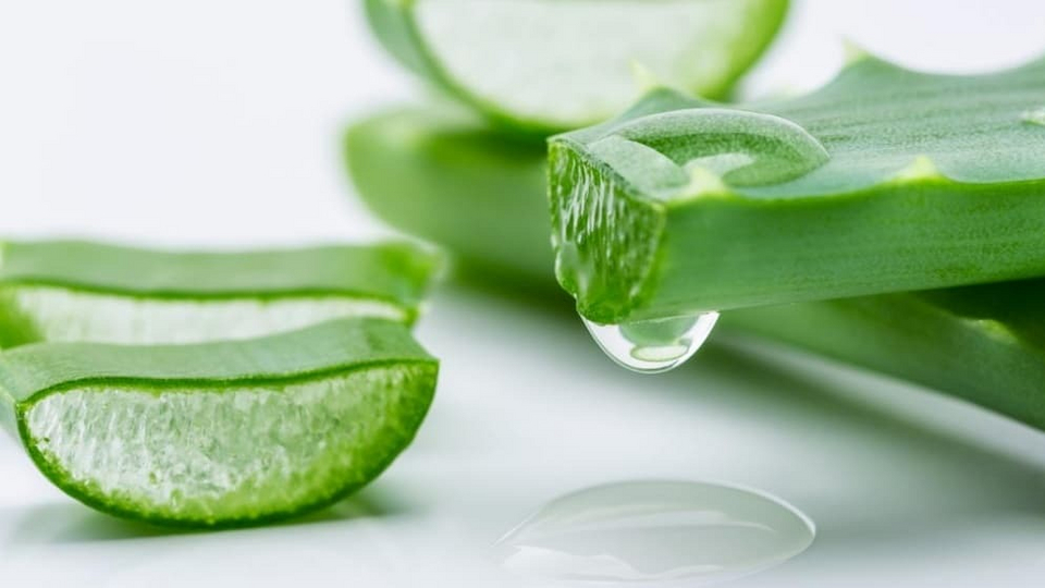 How to Choose High-Quality Aloe Vera Powder 200:1